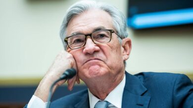Dan Niles predicts a recession - and picks stocks to weather the volatility ahead